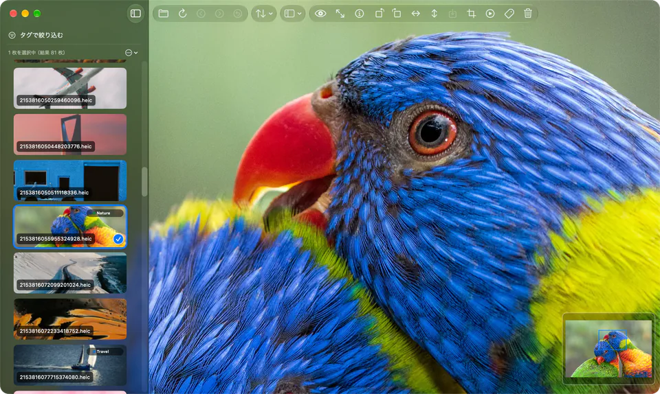 Picserのズーム画面のスクリーンショット
